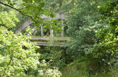 Uroczysko Mosty – Tajny poligon Wehrmachtu